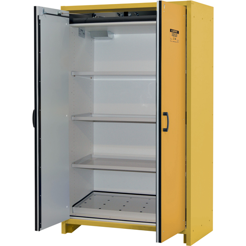 Armoire d'entreposage 30 minutes s&eacute;curitaire et conforme &agrave; la norme EN, 45 gal., 2 Porte(s), 45,83" La x 76,65" h x 24,21" p Industrial Sales