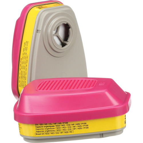 Cartouches pour respirateur s&eacute;rie 6000, Cartouche gaz/vapeur, Vapeurs organiques/Gaz acides/P100 Industrial Sales