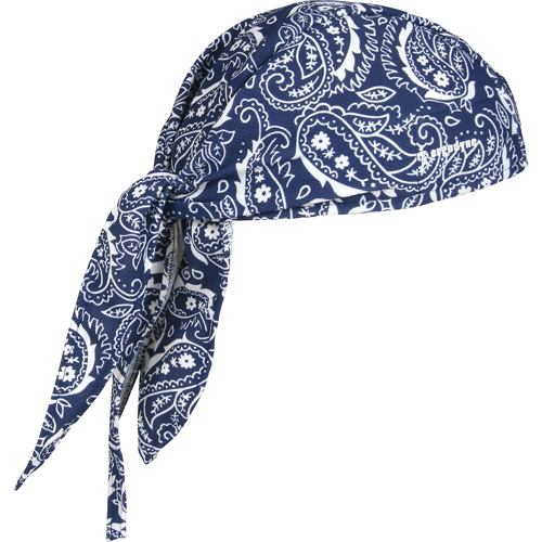 Coiffes de refroidissement Chill-Its 6615, Bleu Industrial Sales