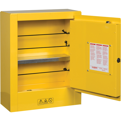 Mini-armoires de s&eacute;curit&eacute; Sure-Grip EX pour produits inflammables, 2 gal., 1 Porte(s), 17" La x 22" h x 8" p Industrial Sales