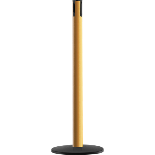 Syst&egrave;me Advance TensaBarrier - Poteau r&eacute;cepteur, Hauteur de 36", Jaune Industrial Sales