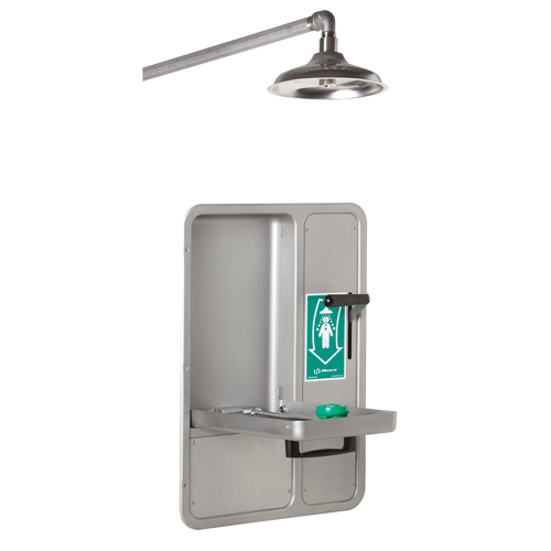 Eye/Face Wash and Shower, Ceiling-Mount Industrial Sales