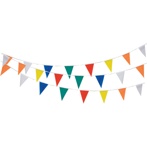 Pennant String, 60' L, Multicolour Industrial Sales