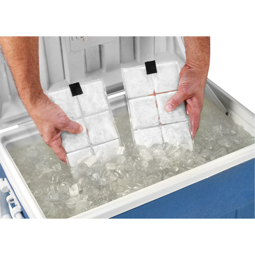 Sachets pour veste de refroidissement &agrave; changement de phase 6260 Chill-Its Industrial Sales