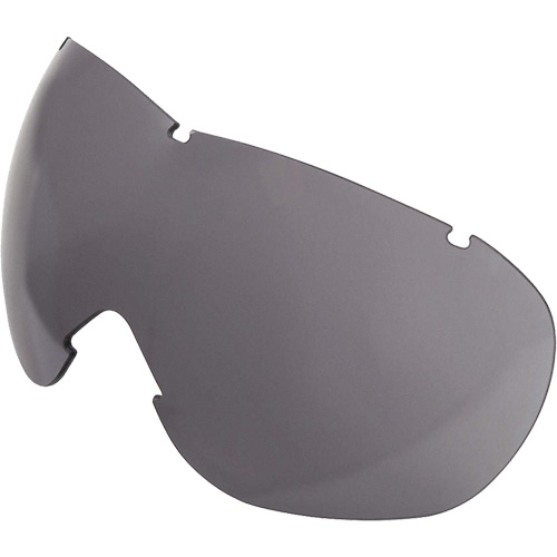 Lentille de rechange pour les lunettes de s&eacute;curit&eacute; &agrave; coques Uvex Sub-Zero, Antibu&eacute;e/anti-&eacute;gratignures, Gris, Uvex Sub-Zero Industrial Sales