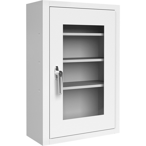 Lockable Medicine Cabinet with Plexiglas Door Industrial Sales