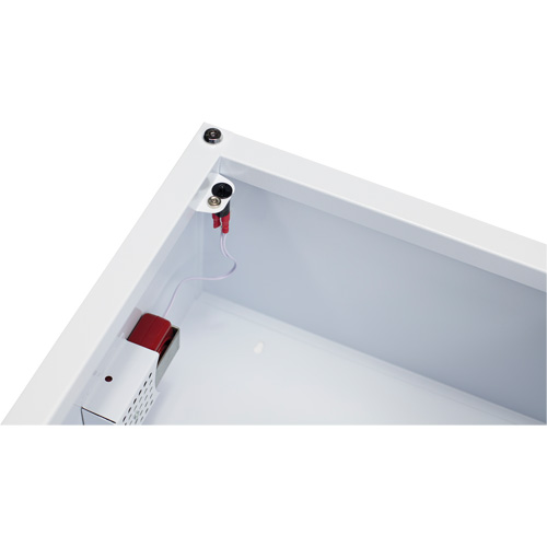 Standard Large AED Cabinet with Alarm, Zoll AED Plus&reg;/Zoll AED 3/Cardio-Science/Physio-Control For, Non-Medical Industrial Sales