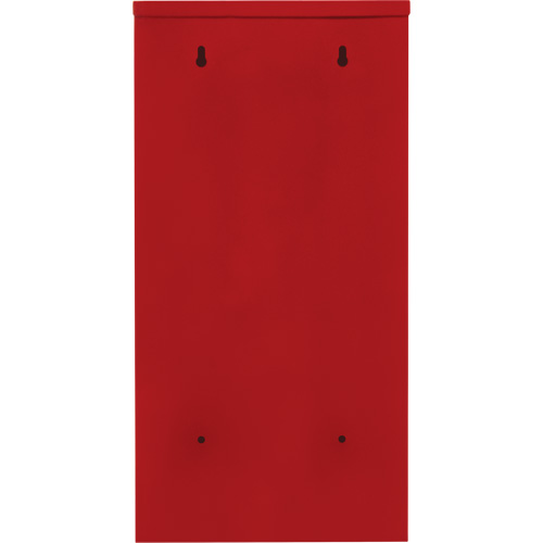 Armoires ext&eacute;rieures robustes pour extincteurs, 14" la x 28" h x 10" p Industrial Sales