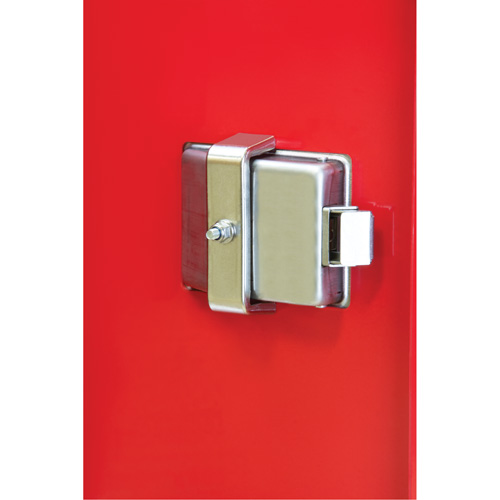 Armoires ext&eacute;rieures robustes pour extincteurs, 14" la x 28" h x 10" p Industrial Sales