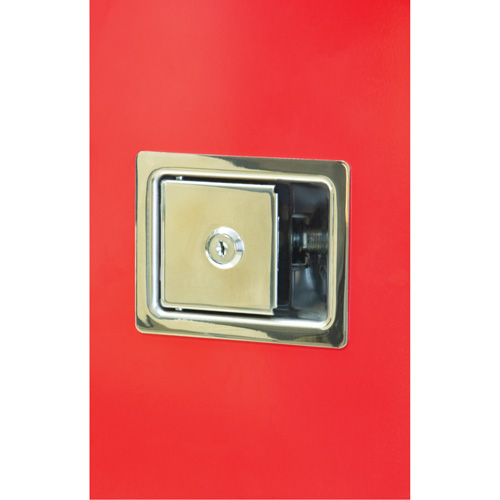 Armoires ext&eacute;rieures robustes pour extincteurs, 14" la x 28" h x 10" p Industrial Sales