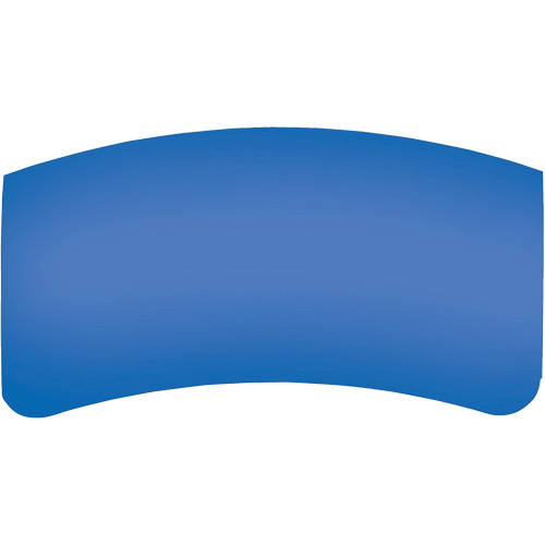 Bullard GenVX PETG Outer Lens Industrial Sales