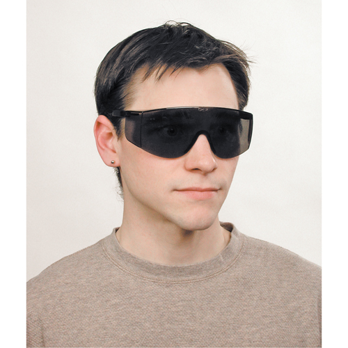Lunettes de s&eacute;curit&eacute; Tacoma, Lentille Grise/fum&eacute;e, Anti-&eacute;gratignures, ANSI Z87+ Industrial Sales