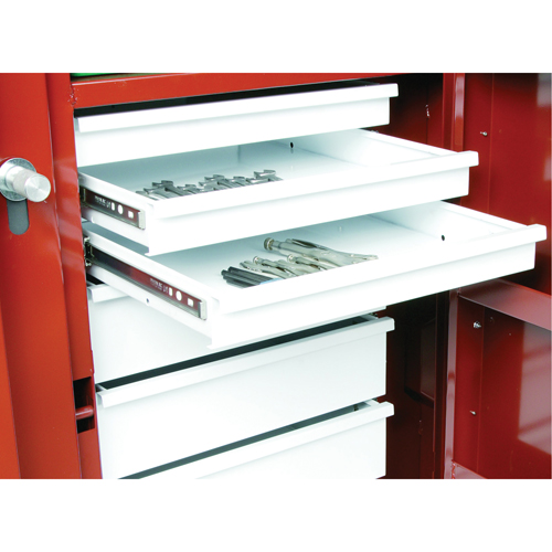 &eacute;tabli roulant, 49-7/8" la x 40-5/8" h x 26-7/8" p, Capacit&eacute; de 24,6 pi³ Industrial Sales