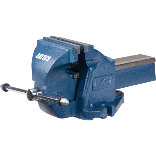 &eacute;tau d'&eacute;tabli robuste, Largeur des m&acirc;choires 6", Profondeur de la gorge 3-1/2" Industrial Sales