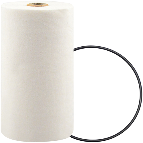 P7247 Filtre pour liquide de refroidissement &agrave; visser avec additif BTE Industrial Sales