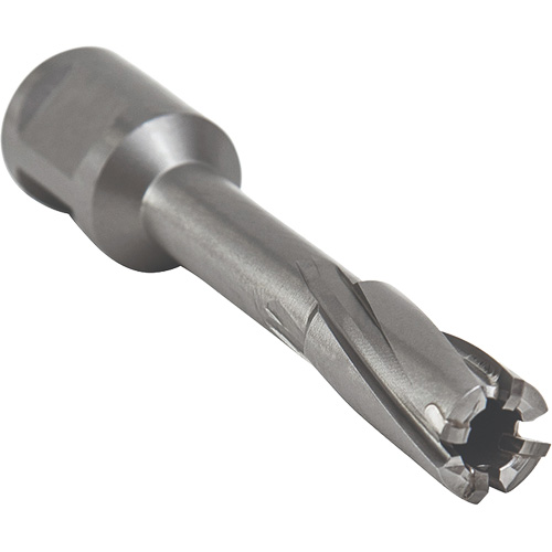 Core Cut Annular Cutter with Weldon Shank, 12 mm Diameter, Carbide, 55 mm Depth of Cut, 3/4" Shank Industrial Sales
