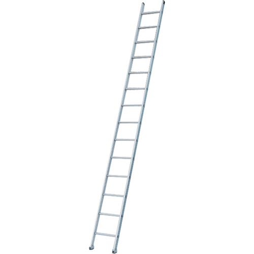 Industrial Heavy-Duty Extension/Straight Ladders, 8', Aluminum, 300 lbs., CSA Grade 1A Industrial Sales