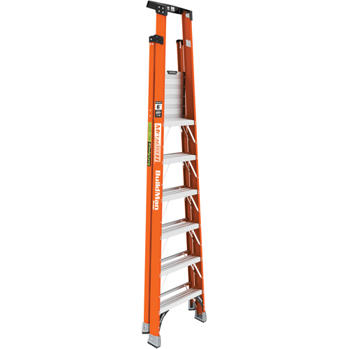 Safespace Platform Step Ladder, 6', 300 lbs. Cap. Industrial Sales