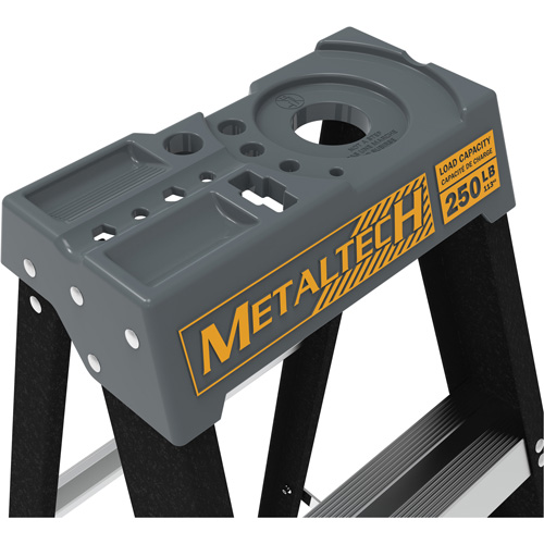 Step Ladder with Paint Tray, 4', Fibreglass, 250 lbs. Capacity, Type 1 Industrial Sales