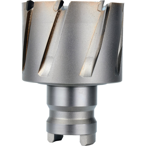 Quick Change Tang Drive Hawg&reg; Cutter, 2" Diameter, Steel, 1" Depth of Cut Industrial Sales