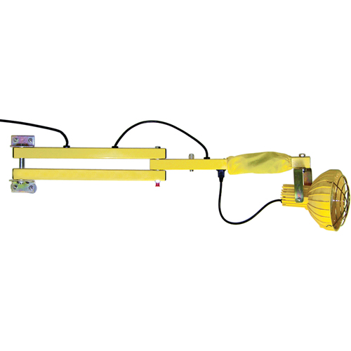 Lampes avec bras flexible pour quais, Ampoule Incandescente, Bras 60" Industrial Sales