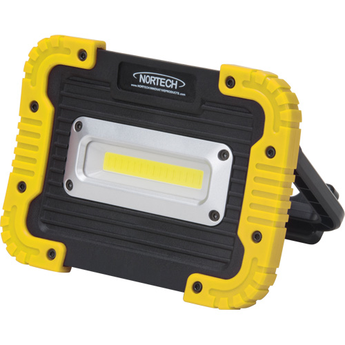 Lampe de travail portative, DEL, 10 W, 1000 lumens, Boîtier en Plastique Industrial Sales
