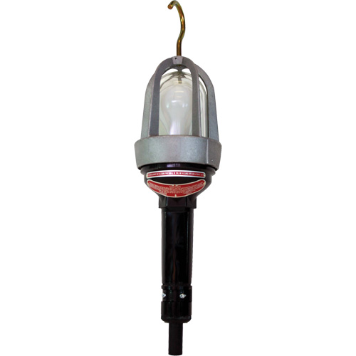 Baladeuses pour emplacements dangereux Industrial Sales