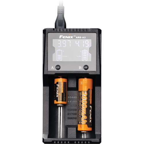 Chargeur de batterie &agrave; deux canaux ARE-A2 Industrial Sales