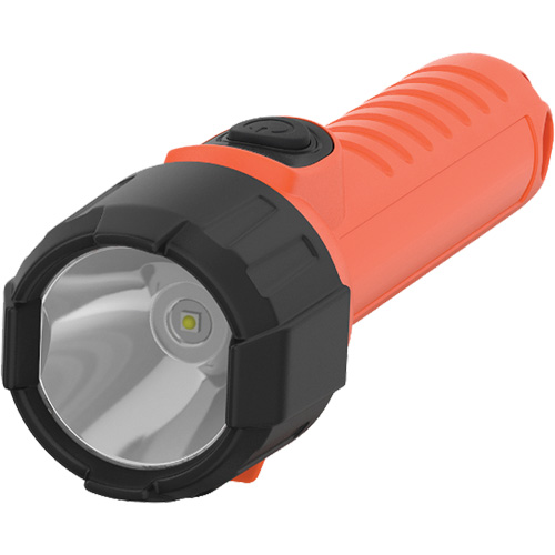 Lampe de poche portative Intrinsically Safe, DEL, 150 lumens, Piles D Industrial Sales
