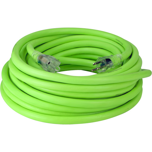 Cordon rallonge industriel Flexzilla Pro, Toutes saisons, SJTW, AWG 10/3, 15 A, 50' Industrial Sales