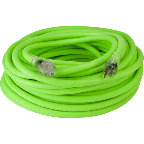 Cordon rallonge industriel Flexzilla Pro, Toutes saisons, SJTW, AWG 10/3, 15 A, 100' Industrial Sales