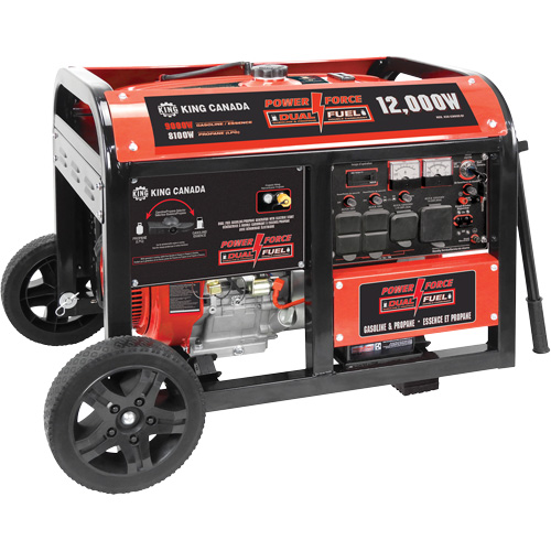 Gasoline/Propane Generator with Electric Start Industrial Sales