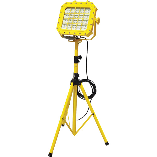 Explosion Proof Floodlight with Tripod, LED, 40 W, 5600 Lumens, Aluminum Housing Industrial Sales
