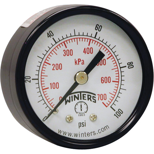 Economy Pressure Gauge, 2" , 0 - 160 psi, Back Mount, Analogue Industrial Sales