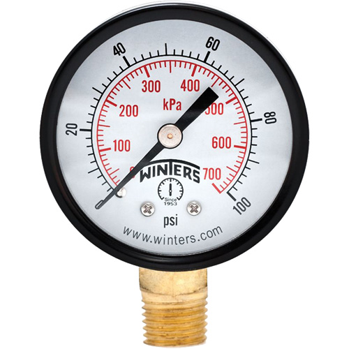 Economy Pressure Gauge, 2" , 0 - 100 psi, Bottom Mount, Analogue Industrial Sales