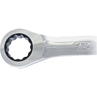 Non-Reversing Ratcheting Combination Wrench Industrial Sales