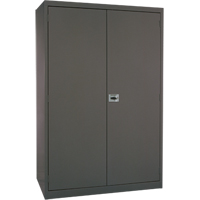 Armoires de rangement Hi-Boy profondes, Acier, 4 Tablettes, 72" h x 36" la x 24" P, Charbon Industrial Sales
