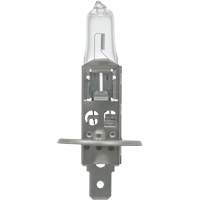 64155 Ampoule automobile de base, Halog&egrave;ne, 78 W, Blanc cass&eacute; Industrial Sales