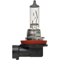 H8 Basic Headlight Bulb, Halogen, 35 W, Off White Industrial Sales