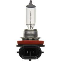H8 Basic Headlight Bulb, Halogen, 35 W, Off White Industrial Sales