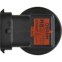 H8 Basic Headlight Bulb, Halogen, 35 W, Off White Industrial Sales