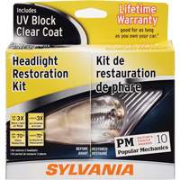 Headlight Restoration Kit Industrial Sales