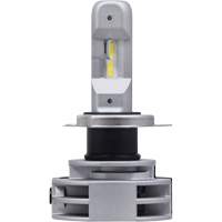 9003 Headlight Bulb, LED, 12 W/14 W/24 W, White Industrial Sales