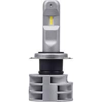 H7 Headlight Bulb, LED, 13.2 W/17 W, White Industrial Sales
