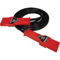 C&acirc;ble robuste &agrave; fiche double, 1 AWG, C&acirc;ble 12' Industrial Sales