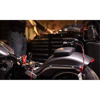 Genius&reg; 10 10-Amp Battery Charger Industrial Sales