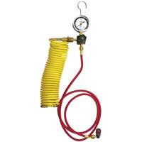 Automotive A/C Nitrogen Leak Test Kit with Regulator Industrial Sales