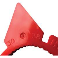 Indicateur d'&eacute;crous de tailles multiples desserr&eacute;s HexChex Industrial Sales