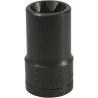 Douille Torx&reg; E-20 Industrial Sales