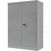 Counter-High Storage Cabinet, Steel, 2 Shelves, 42" H x 48" W x 24" D, Grey Industrial Sales